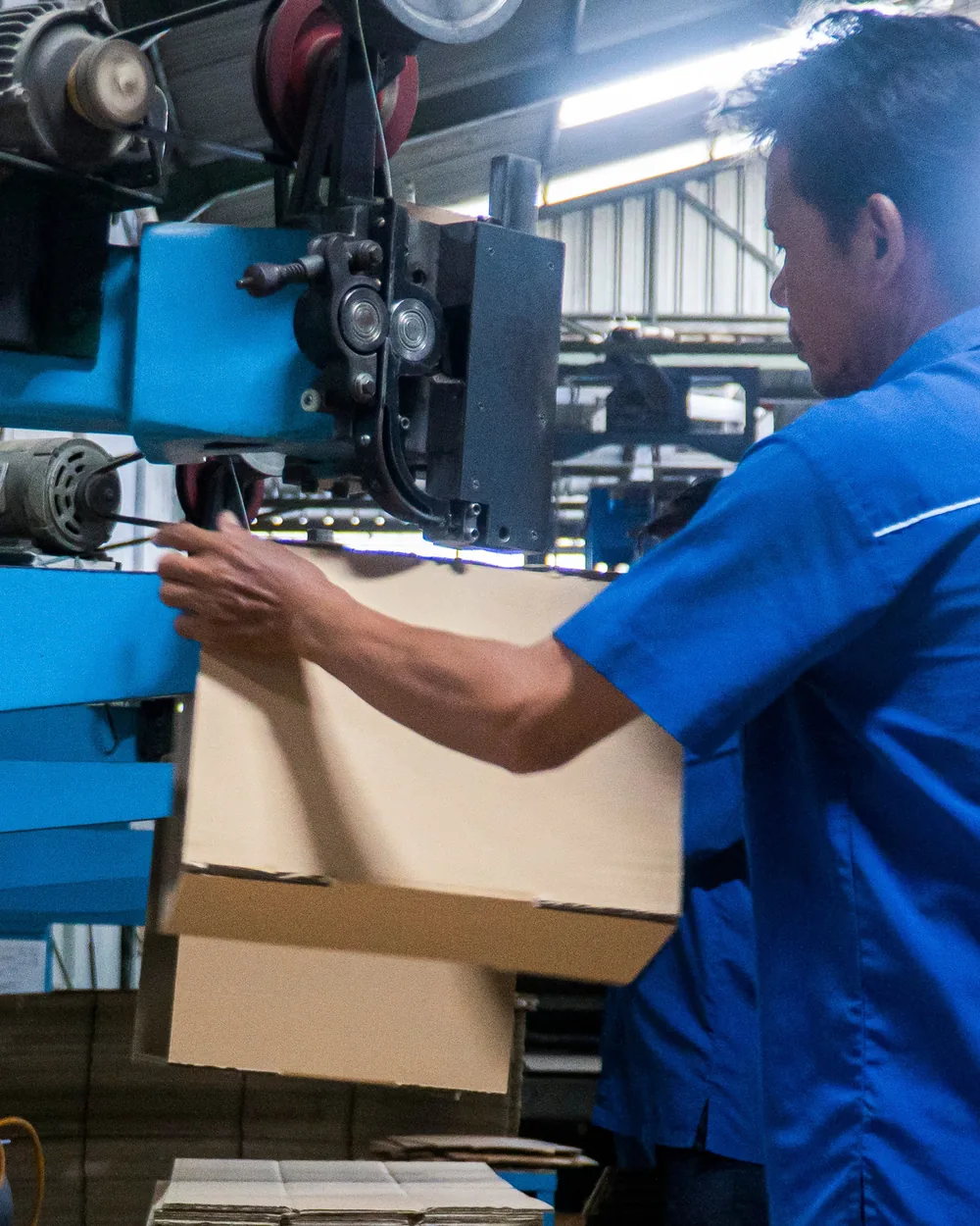 Operator JMP membentuk karton box di lantai produksi.